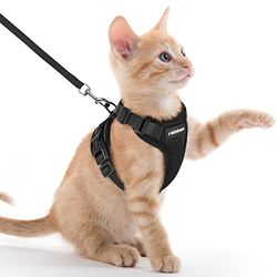 rabbitgoo Kattenharnas en Riem 150cm, Harnas Kat anti-ontsnapping, Kattenharnas Verstelbare, Kattentuigje Reflecterende van Zachte en Ademend, Kattenharnas voor Kitten Kleine Honden, XXS, Zwart