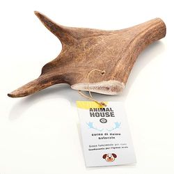 ANIMAL HOUSE - Hondengewei - 100% natuurlijk kauwmiddel - versterkt de mondhygiëne - robuust en duurzaam - verkrijgbaar in alle maten (XL)