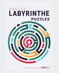 ADULTE LABYRINTHE PUZZLES LIVRE 2: Gros caractères, Niveau de difficulté difficile, 100 labyrinthes, Casse-tête, et Résolution de problèmes