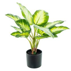 Alexandra House Living Planta Decorativa Plástico Aglaonema 50 cm