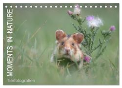 Moments in Nature (Tischkalender 2025 DIN A5 quer), CALVENDO Monatskalender: Tierfotografien