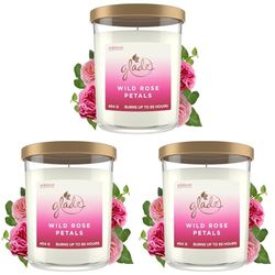 Glade Extra Large Scented Candle, Home Décor Jar Candle Infused with Essential Oils, 85 Hour Burn Time, Wild Rose Petals, 454g (Pack of 3)