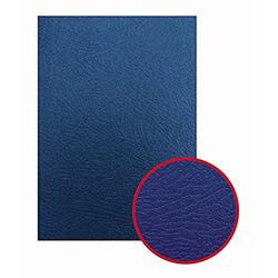 GBC ESP426081 Cover