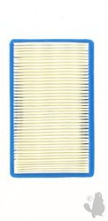 Greenstar 27693 - Filtro