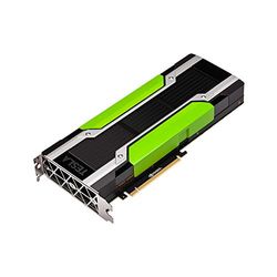 PNY NVIDIA Tesla P40 Scheda Datacenter 24GB GDDR6 PCI Express 3.0 x16, Doppio slot, raffreddamento passivo