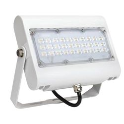 LED schijnwerper Prime, 50W, ws warm wit 830, IP65