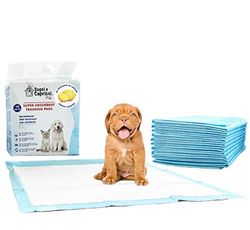 Italian Bed Linen absorberande matta Pets, Citron, 60 x 60 cm