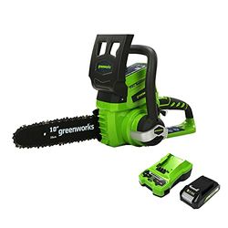 Greenworks Tools Cordless Chainsaw G24CS25K2 (Li-Ion 24V 4 m/s Chain Speed 25 cm Sword Length 50 ml Oil Tank Volume Including 2 Ah Battery and Charger)