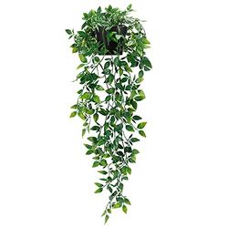 Whonline Petites Plantes artificielles à Suspendre en Pot, Fausses Plantes pour intérieur ou extérieur, esthétique, Bureau, Salon, décoration d'étagère (Lot de 1)