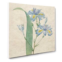 Butterfly Iris Flowers by Pierre Joseph Redoute Vintage Canvas Wall Art Print Ready to Hang, Framed Picture for Living Room Bedroom Home Office Décor, 14x14 Inch (35x35 cm)
