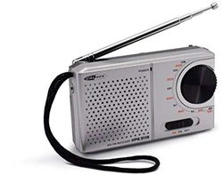 Caliber Mini Radio Portable - Radio FM / AM - Poste Radio Portable avec AUX-In - Piles - Argent