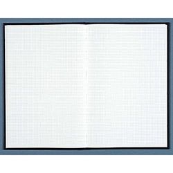 Le Delphin 654D 1 register, afmetingen: 297 x 210 cm, geruit, 5 x 5 cm, 400 pagina's, zwarte omslag