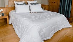 Colas Normand - Dekbed tegen mijten en antibacterieel - Gematigd - 280 x 240 cm - Langdurige werking - Perfecte hygiëne - Microvezel - Zacht en comfortabel - Wasbaar - Gemaakt in Frankrijk