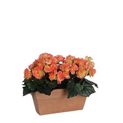 MICA Decorations Begonia Slate - Jardinera para balcón (29 x 13 x 25 cm), Color Terracota