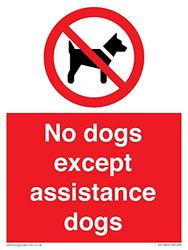 Panneau « No dogs except assistance dogs » - 150 x 200 mm - A5P