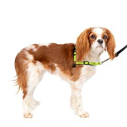PetSafe Deluxe Easy Walk Dog Harness Sele för, Nylon, Äpple/Svart, S