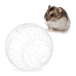 Relaxdays Hamsterbal, loopbal voor hamsters en muizen, beweging, knaagspeelgoed om te lopen, kunststof, 14 cm, transparant
