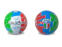 Teorema Giocattoli, Fotbollsboll storlek 2, fotboll för barn och vuxna, design Italien, perfekt för träning och amatörspel, PVC-boll 14 cm diameter