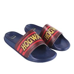 CERDÁ LIFE'S LITTLE MOMENTS Mixte Sandales d'Été pour la Plage Unisex Imprimé avec Harry Potter et Le Support du Doigt-Licence Officielle Warner Bros, Noir, 40 EU
