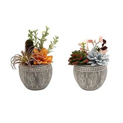 Planta Decorativa DKD Home Decor Cemento Polietileno (2 pcs) (19 x 19 x 22 cm)