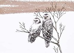Snowy Owls Deluxe Boxed Holiday Cards (20 cards, 21 self-sealing envelopes)