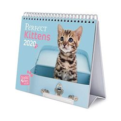 ERIK - Studio Pets Cats 2020 Desk Calendar - 12 Months