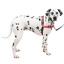 PetSafe Dog Harness Arnês Deluxe Easy Walk, grande, nylon, rosa (b), L (embalagem de 1)