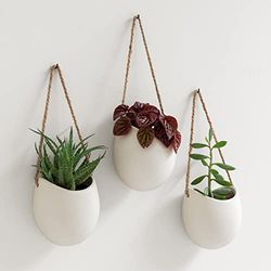 Kazai. Pots de Fleurs Muraux -Ellie- | Pots de Fleurs Suspendus en Céramique 3 pièces | Décoration Murale pour Intérieur, Balcon et Jardin | Crème (Mat)