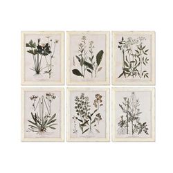 Home ESPRIT Afbeelding in shabby chic-stijl, botanische planten, 40 x 1,5 x 50 cm, 6 stuks