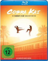 Cobra Kai - Staffel 1