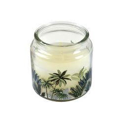 Homéa, Decoratieve glazen kaars Garden d'Eden, D10 x 10 cm, exotische zoetheid