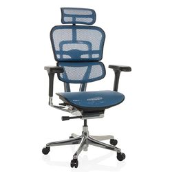 hjh OFFICE Krzesło biurowe ERGOHUMAN I siatka ergonomiczny fotel biurowy z elastycznym podparciem lędźwiowym, niebieski, 652278
