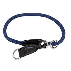 Hondenhalsband (30 cm lengte, Blauw)