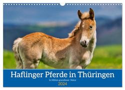 Haflinger Pferde in Thüringen (Wandkalender 2024 DIN A3 quer), CALVENDO Monatskalender: Die schönsten Pferde in grandioser Thüringer Natur
