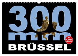 300mm - Brüssel (Wandkalender 2026 DIN A3 quer), CALVENDO Monatskalender: Brüssel durch das 300mm Tele-Objektiv gesehen