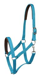 PFIFF Licol en Plastique Bleu Clair COB