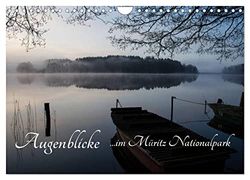 Augenblicke im Müritz Nationalpark (Wandkalender 2024 DIN A4 quer), CALVENDO Monatskalender