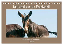 Kunterbunte Eselwelt - Liebenswerte Langohren (Tischkalender 2024 DIN A5 quer), CALVENDO Monatskalender: Wunderschöne Esel im Bild