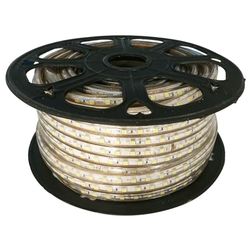 Bande LED haute tension blanche 50 m 10 mm
