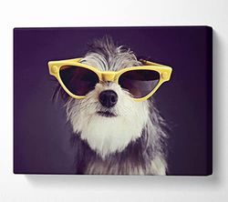 Sunglasses Dog Pooch Canvas Print Wall Art - Double XL 40 x 56 Inches