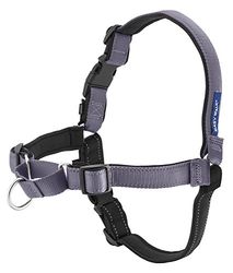 PetSafe Dog Harness Arnês Deluxe Easy Walk, médio, cinzento de aço, nylon, M (pack of 1)