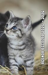 Agenda Escolar 2025 2026 Gatos: Planificador niño niña de primaria y secundaria | 2 Día = 1 Página | De Septiembre de 2025 a Agosto de 2026 | ... Calendario escolar | Formato A5 | 215 Páginas