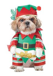 California Costumes Elfo Cucciolo Costumi per Cani, Poliestere, Rosso, XS