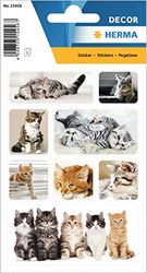 HERMA 15456 Adesivi Animali Bambini Gatto (24 Adesivi, Carta, Opaco) Autoadesivi, Adesivo Permanente, Etichette Motivo per Ragazze e Bambini, Col