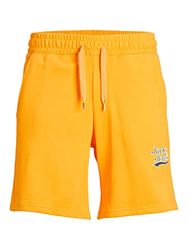 JACK & JONES Jpsttrevor Sweatshorts GMS Sweatshorts voor heren, Iceland Poppy, XL