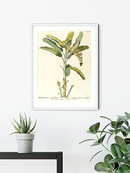 Komar Väggmålning – regnskog sapling – storlek: 30 x 40 cm – affisch, konsttryck, väggdekor, dekoration, vardagsrum, sovrum (utan ram)
