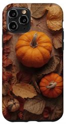 Pumpkin Patch Autumn Accesorios para teléfono Carcasa para iPhone 11 Pro