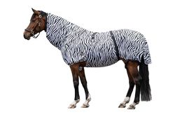 HKM Zebra Eksem Dekens Vit Svart 115
