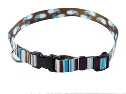 YellowDog Design a strisce con paisley, piccolo, 3/4", marrone