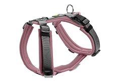 HUNTER Harnais pour chien Maldon Up - Couleur : vieux rose/gris - Rembourrage doux et confortable - Hautement réfléchissant grâce à 3M Scotchlite - Réglable en 4 positions - Avec poignée rembourrée (à